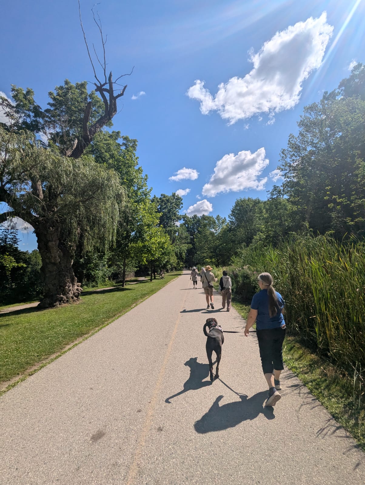Netwalking